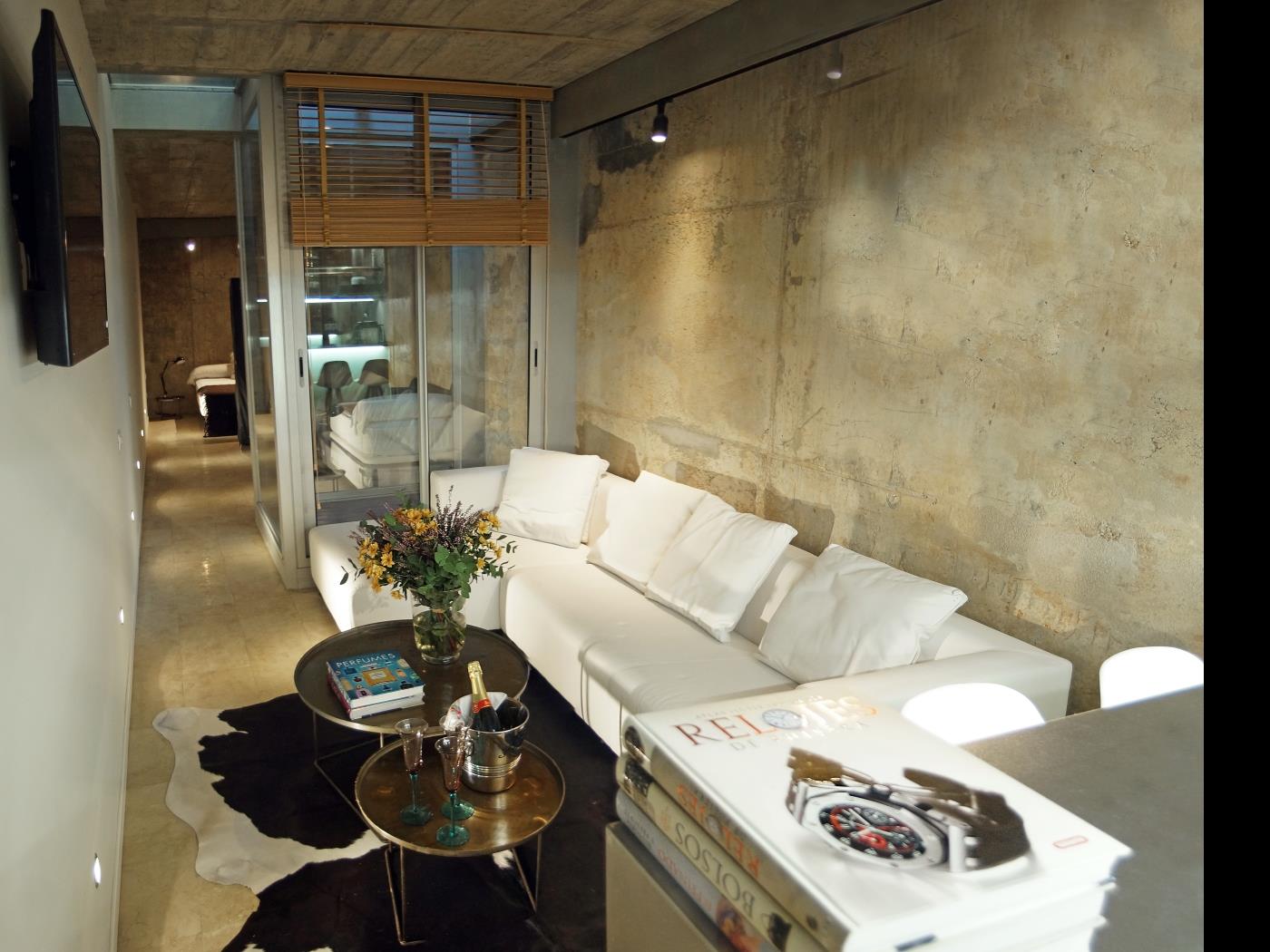 Loft in Barcelona in the city centre with terrace and swimming pool for 6 pax - My Space Barcelona Apartments
